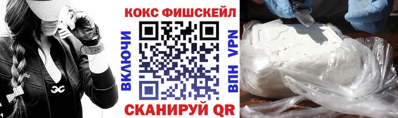 COCAIN FishScale  сколько стоит  Чкаловск 