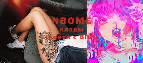 прущие грибы Абинск