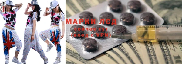 прущие грибы Абинск