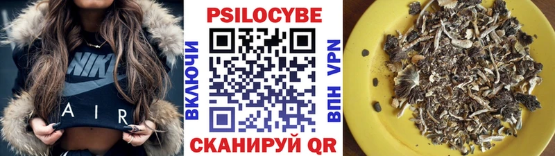 Псилоцибиновые грибы мицелий  Чкаловск 