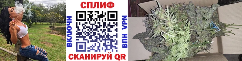 Шишки марихуана марихуана  где найти наркотики  Чкаловск 